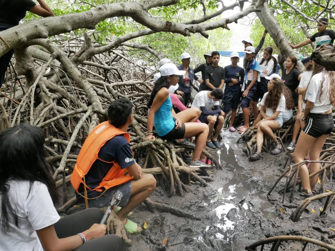 Semilleros Científicos de Sucre liberó caballitos de mar en Mochima como cierre de la Ruta Marina.