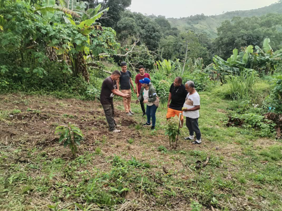 Loma Larga potencia la agricultura sustentable con Taller de Manejo Agroecológico del Suelo.