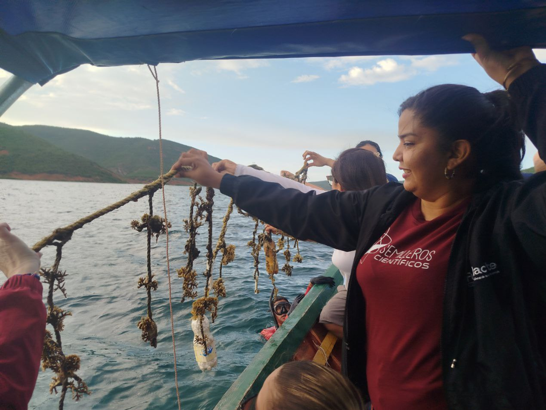 Mincyt evalúa proyectos productivos de la Red Científica y Tecnológica Acuícola en Sucre.