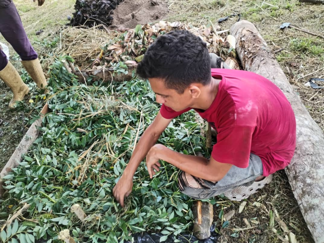 Productores del municipio Andrés Mata fortalecen conocimientos en elaboración de abono orgánico.