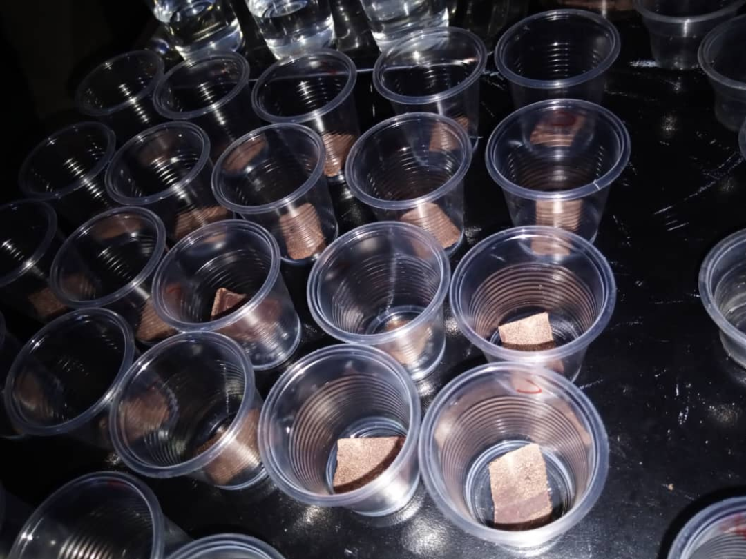 Alianza Científico-Campesina impulsa análisis sensorial del cacao para avanzar en la IGP Río Caribe