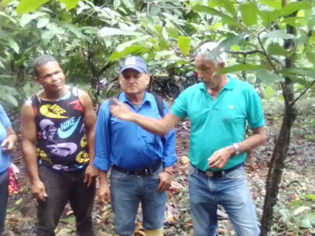 Diplomado en Manejo Agroecológico del Cacao de Fundacite Sucre ofrece prácticas de injerto en Tunapuy