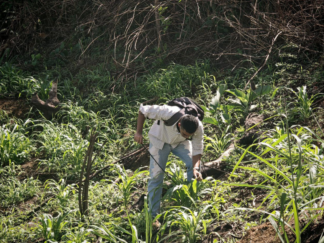 Alianza Científico-Campesina confirma desarrollo del Plan Maíz Amarillo Guanape en la Cumbre de Maturincito