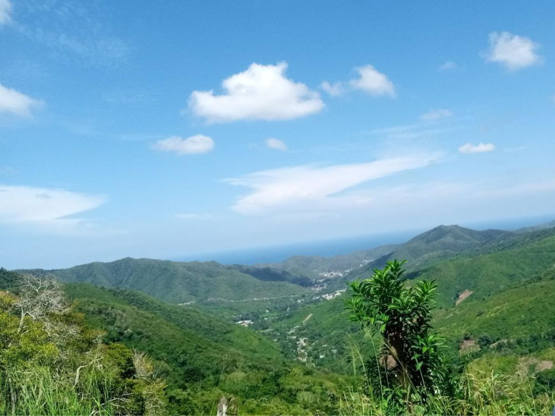 Alianza Científico-Campesina de Fundacite Sucre realiza control de siembra de maíz en El Cuchape